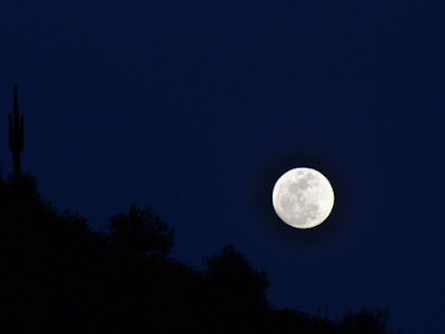 Повна луна (The full moon)