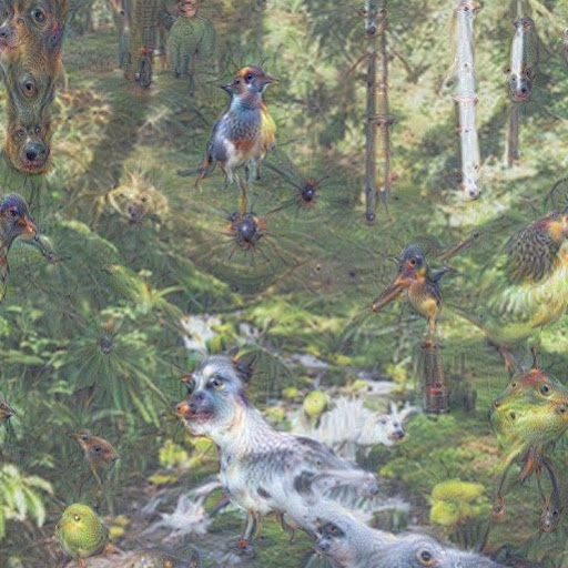 Forest Birds