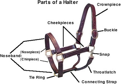 Halter