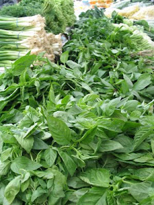 Herb