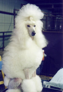 Breed group (dog)