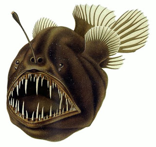Deep sea fish