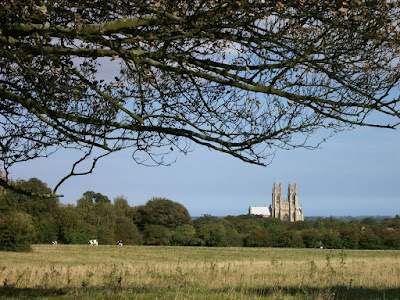 Pasture