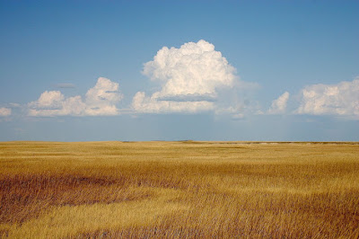 Prairie