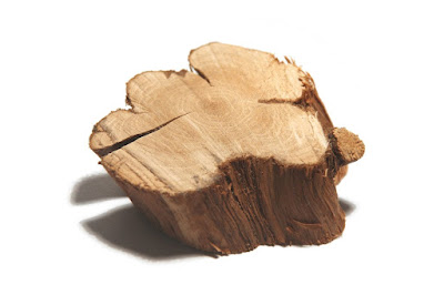Woody plant