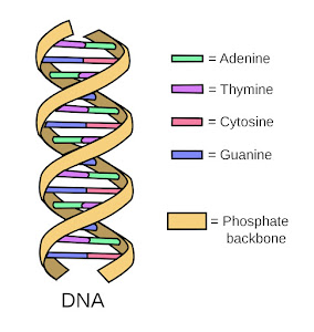 Structure